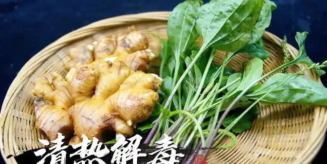 车前草加生姜作用厉害了教你不花1分钱的做法先收藏了