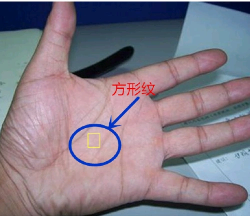 方形纹在手相中,金玉满堂,夫唱妇随,逢凶化吉!