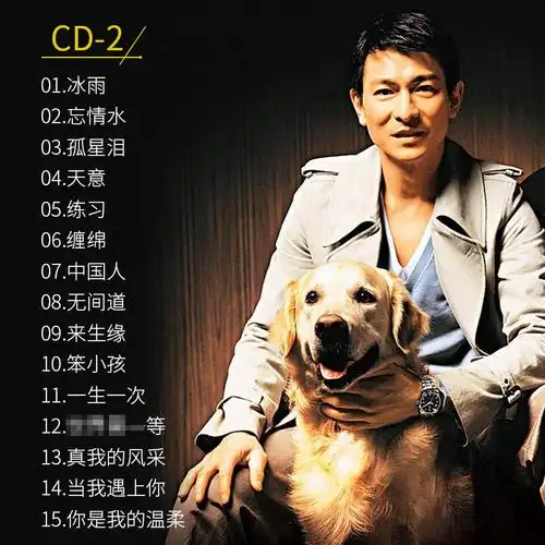 刘德华cd正版专辑经典老歌金曲3碟