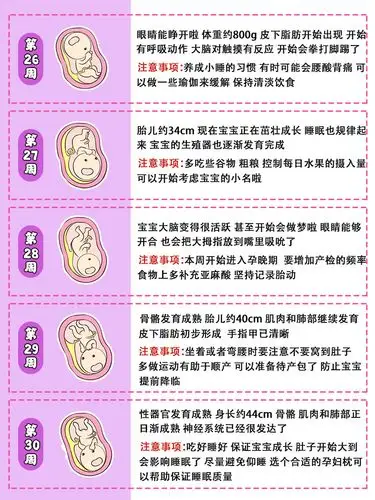 孕期40周胎儿发育过程图注意事项