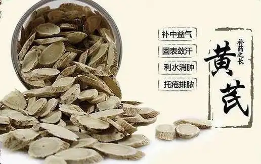 黄芪的功效与作用禁忌