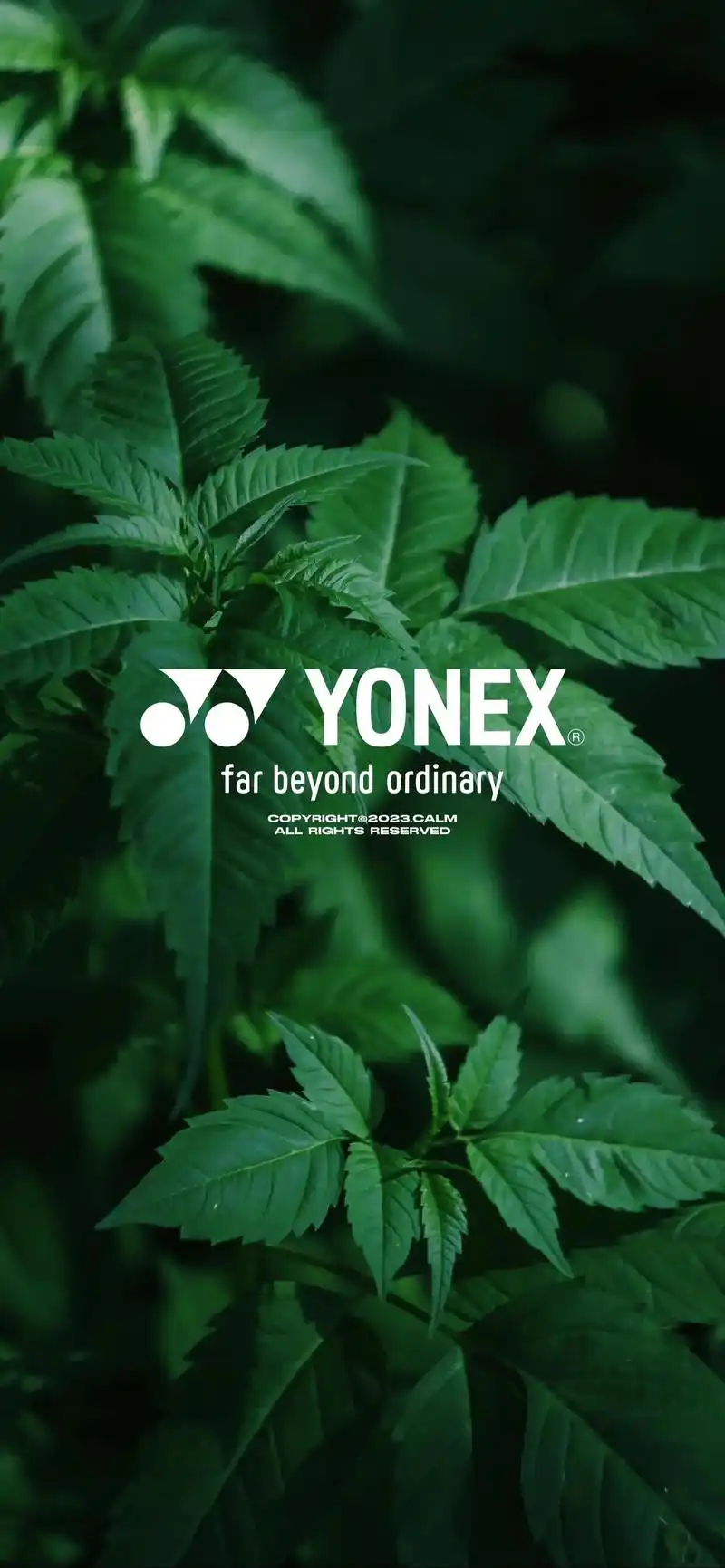 羽球人4k护眼壁纸#羽毛球壁纸 #羽毛球壁纸 - 抖音