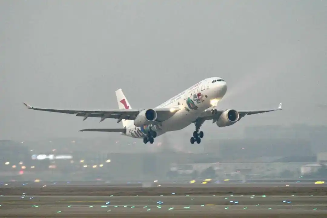 东航上海世赛彩绘飞机起飞(张弘历/摄)