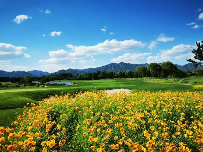 蓝天,白云,青山,绿水,鲜花,草地融为一体的景色令人陶醉.