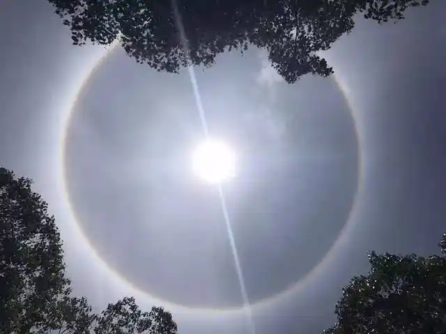 今天中午,宁波太阳都热"晕"了,这是要上天啊!