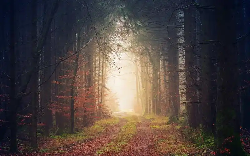 旅行中的风景唯美电脑桌面壁纸-风景壁纸-手机壁纸下载-美桌网