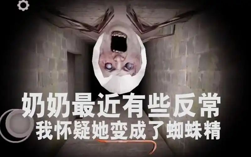 恐怖奶奶奶奶最近的行为有些异常原来我在她的心中都不如蜘蛛