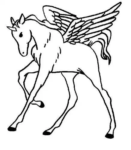画飞马的简笔画长翅膀飞马怎么画好看马的简笔画图片飞天马动物简笔画