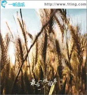 专辑封面:最后一根稻草(单曲)