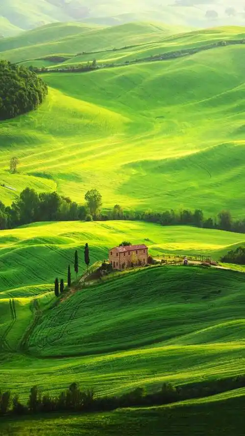 最美的景色,看过吗?有山有水有草有木有花有建筑