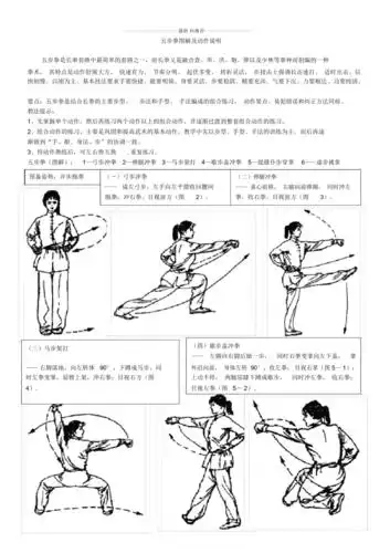 五步拳图解及动作说明