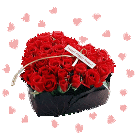 各种设计精美的花卉动态图