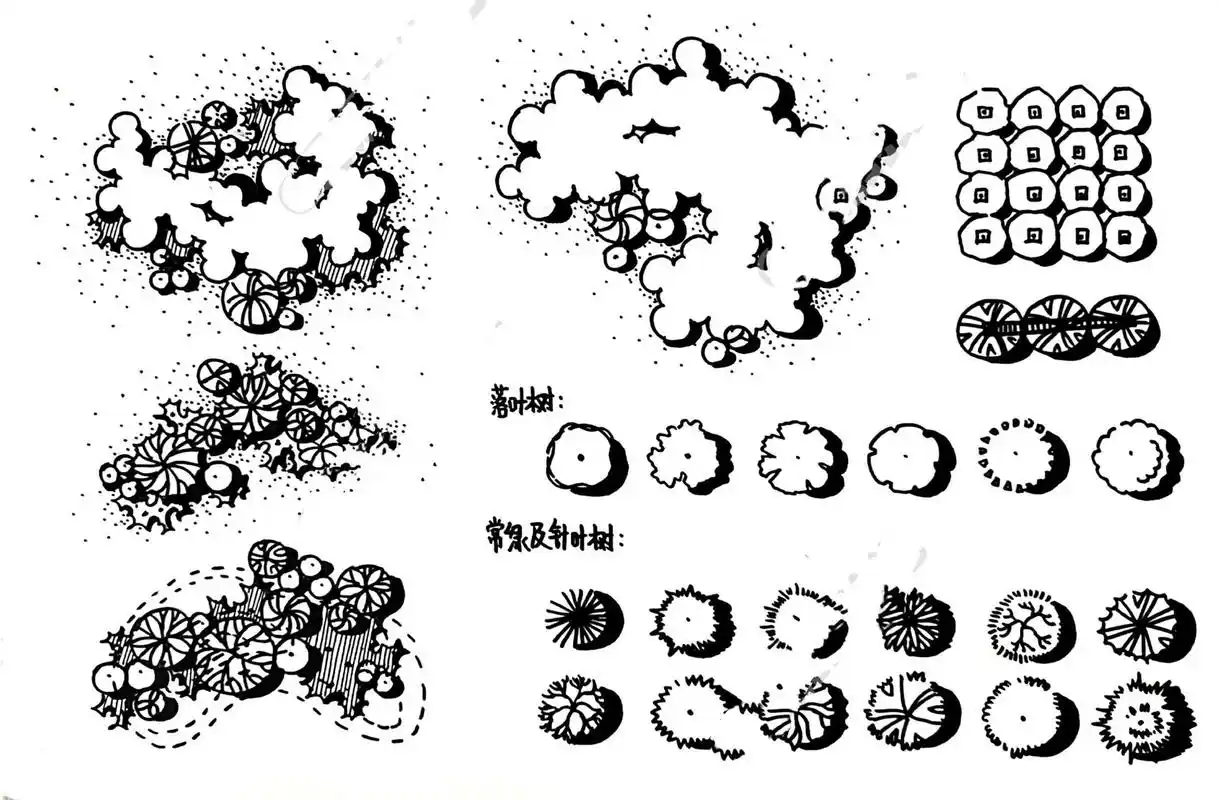 景观平面图植物图例的手绘表达(二)配色来喽 7715上一篇的植物
