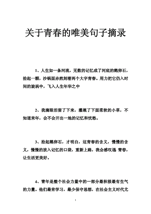 关于青春的唯美句子摘录doc40页