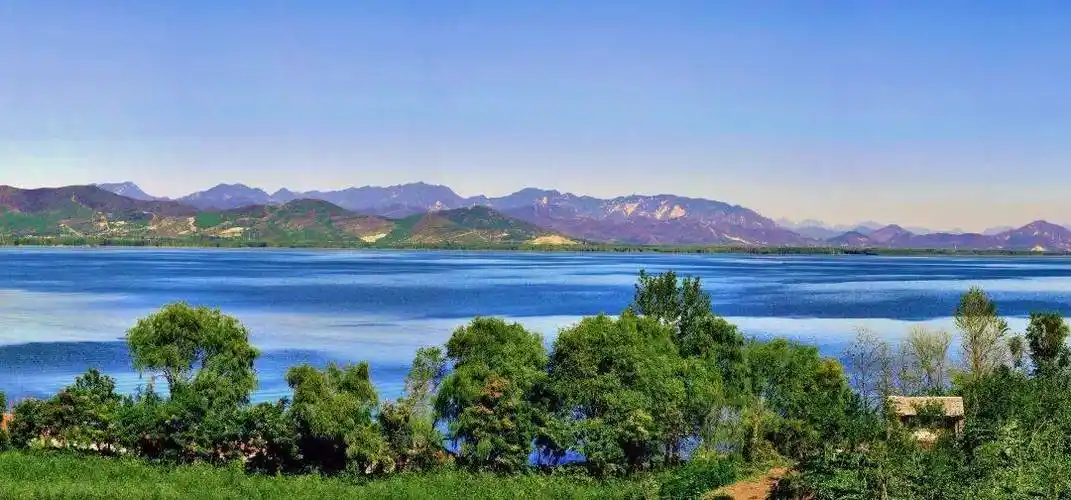 夏日里,位于蓟州区的于桥水库碧波荡漾,白鹭飞行,岸边栽种的生态涵养