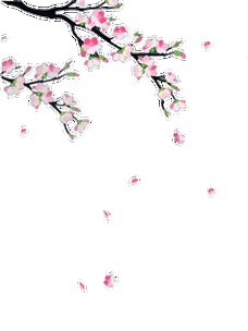 flash转换的gif图(花花 孔雀 红五星) - 彼岸桃花 - .