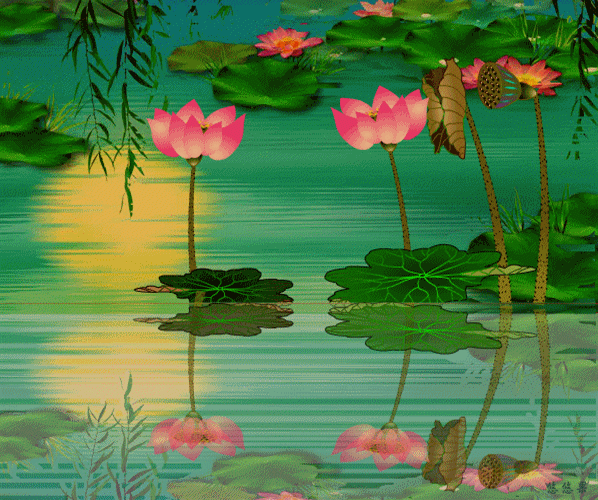 598_500gif 动态图 动图