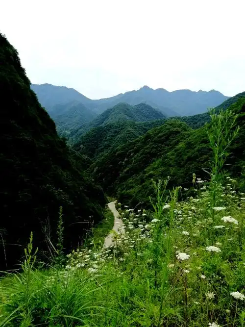 流峪寺草甸一日游