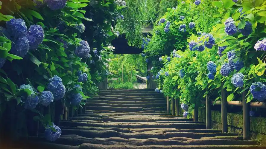 唯美田园花径小清新高清桌面壁纸_风景壁纸_壁纸下载_美桌网