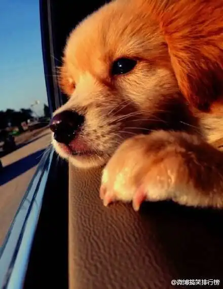 卖萌不是错～ - 【人人分享-人人网】