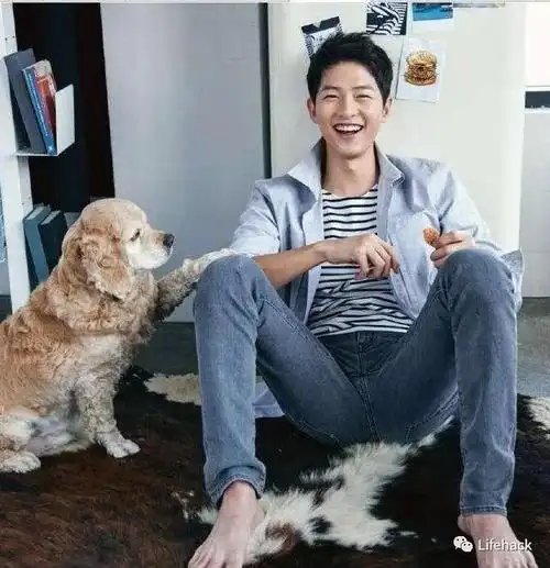 结婚刚一个月宋仲基就胖成这样了