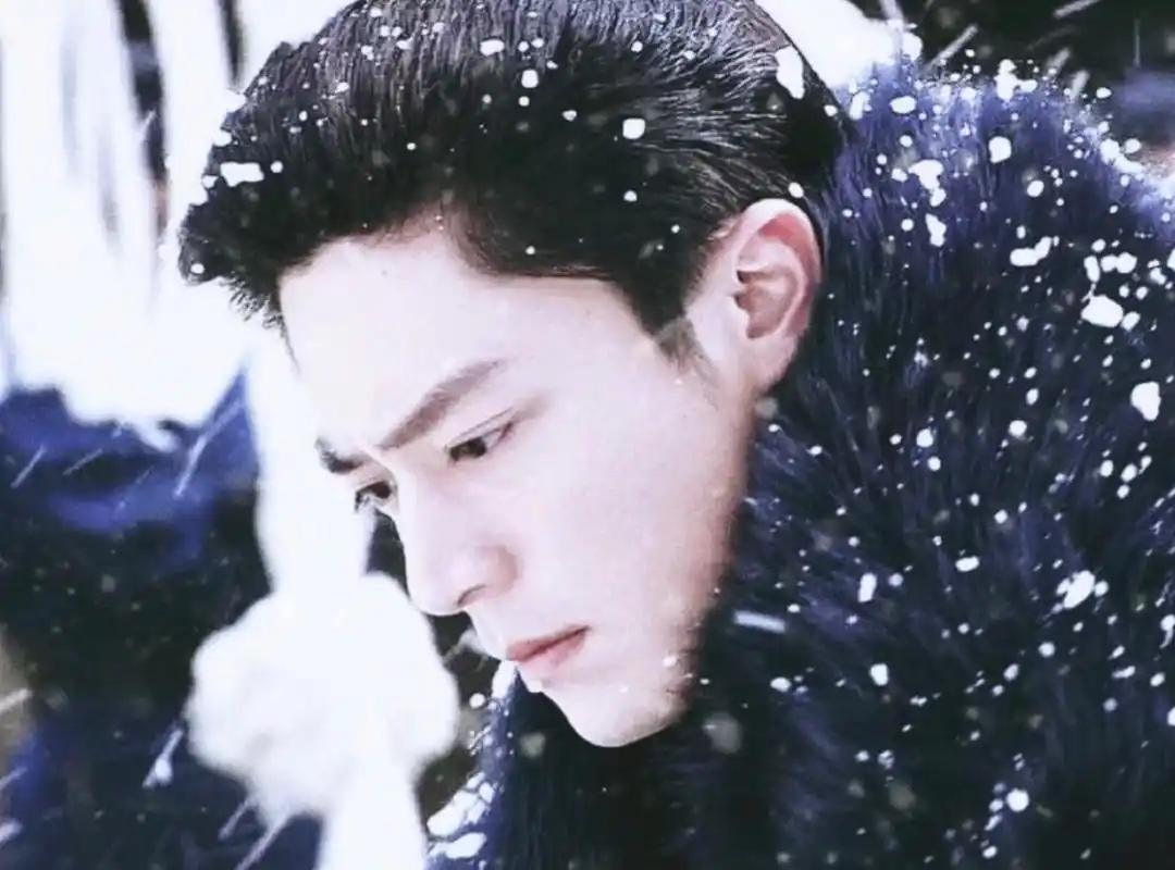 原来我的审美这么多年都没变过 小时候喜欢霍建华,现在喜欢肖战哈哈