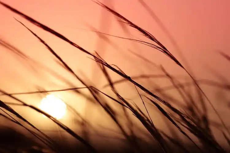 敞开心扉欣赏美 涤荡心灵的美图精选