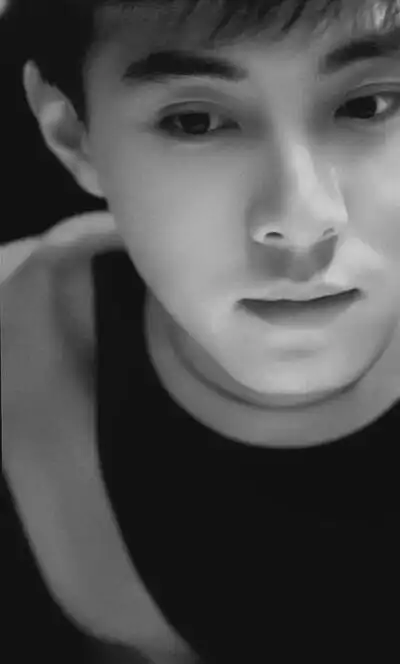 壁纸 男明星 张卫健