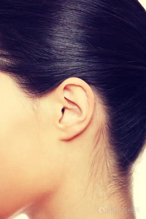 年轻的白人女子的耳朵