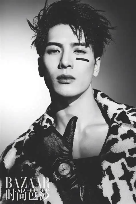 王嘉尔电脑壁纸王嘉尔图片王嘉尔个人简介王嘉尔为什么被封杀王嘉尔