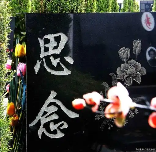 父亲,你就这样走了