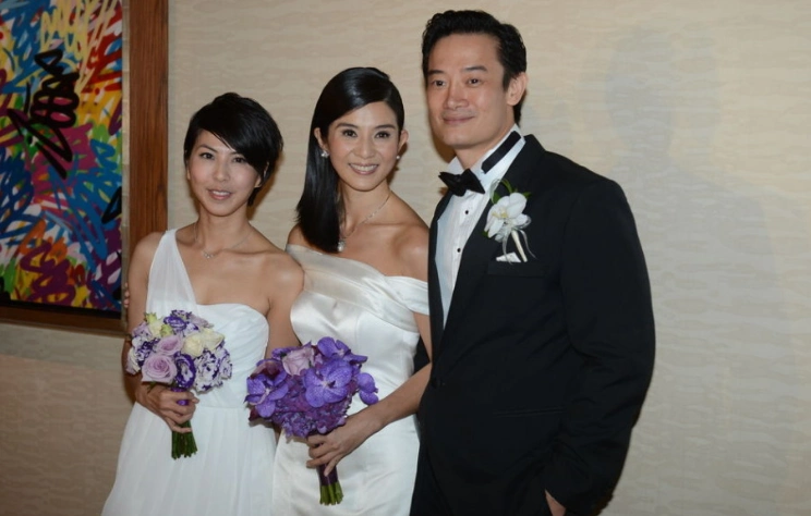 杨采妮与邱韶智于2013年11月完婚