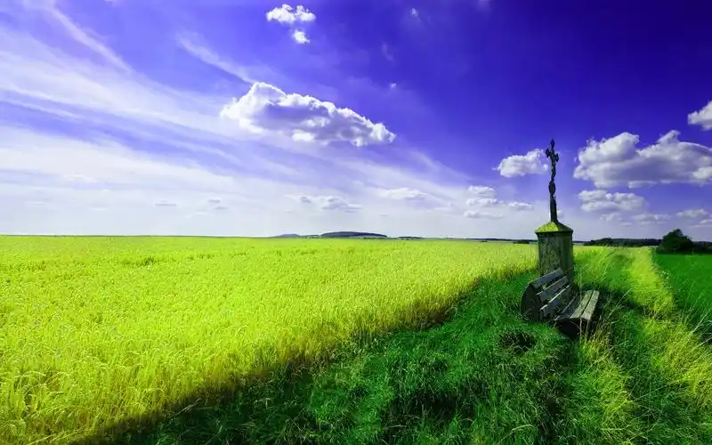 美丽,春天,风景,自然风景,壁纸美丽的春天风景壁纸