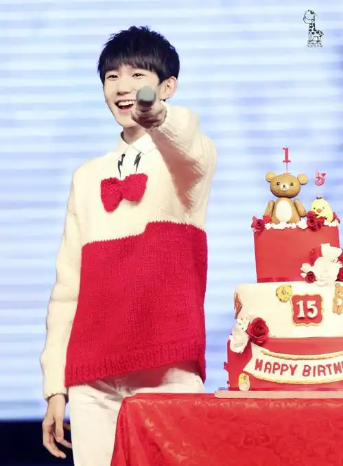 tfboys王源 151128生日会 cr:magicroy-源家手工坊