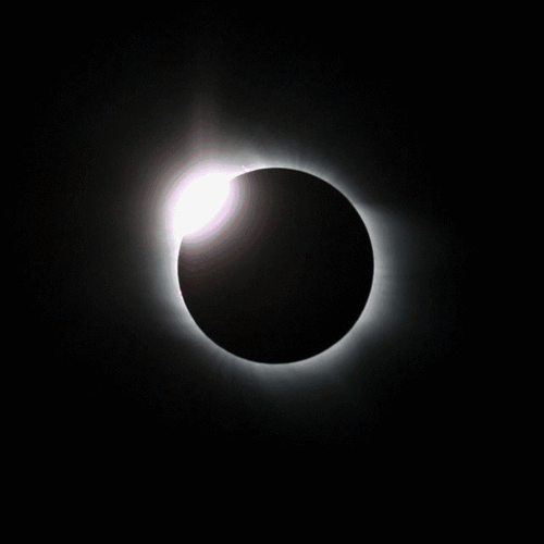 640_640gif 动态图 动图