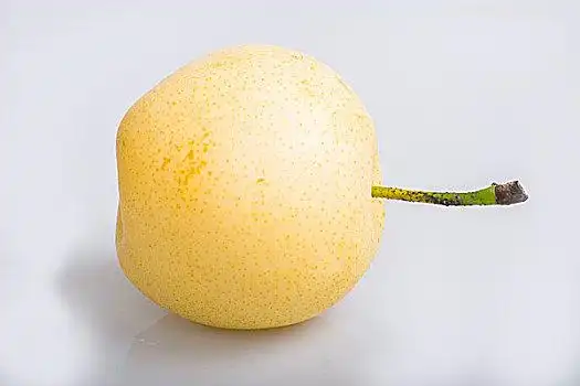 雪梨图片_雪梨图片大全_雪梨图片素材