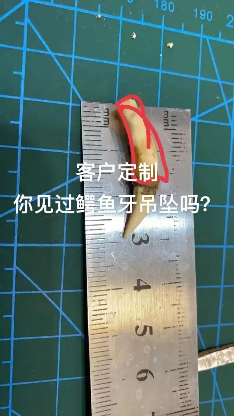 客户定制鳄鱼牙吊坠.#私人制定 #纯手工打造 #手工银饰 - 抖音