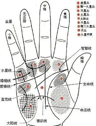 男手相看左手还是手相图解大全女右手命运线 女人右手多一条命运线
