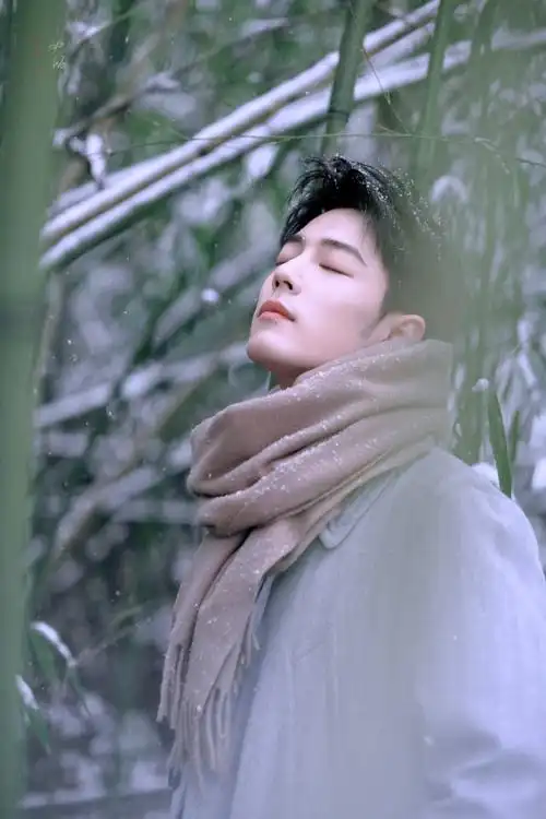 肖战##肖战冬至竹林大片