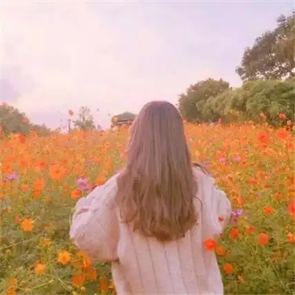 短句有内涵早安说说 攀登得越高,走过的荆棘就越多