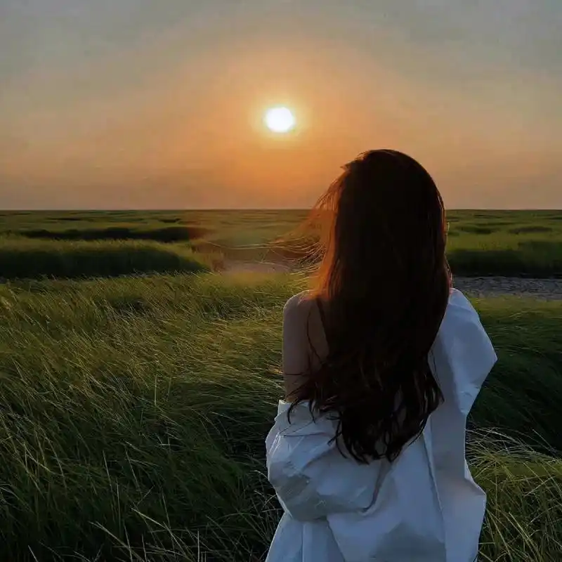 图片头像女生气质背影  🌟在这个繁忙的世界里,每一个背影都诉说着