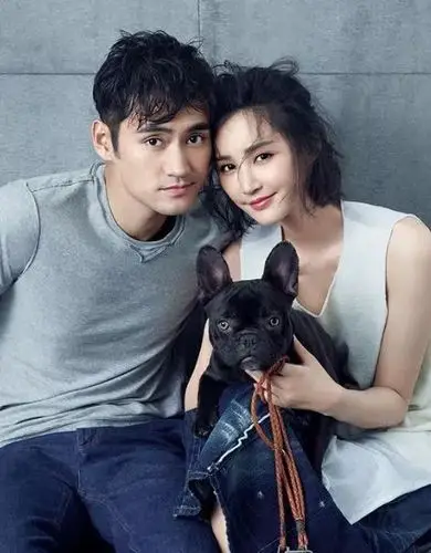 袁弘表示"情敌"来了!胡歌,韩雪都送上祝福