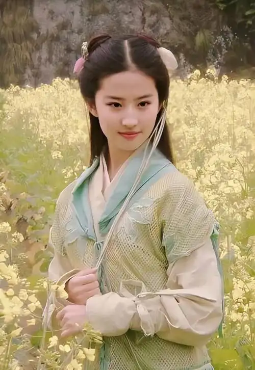 15岁进北电18岁爆红,现35岁的刘亦菲怎么样了?