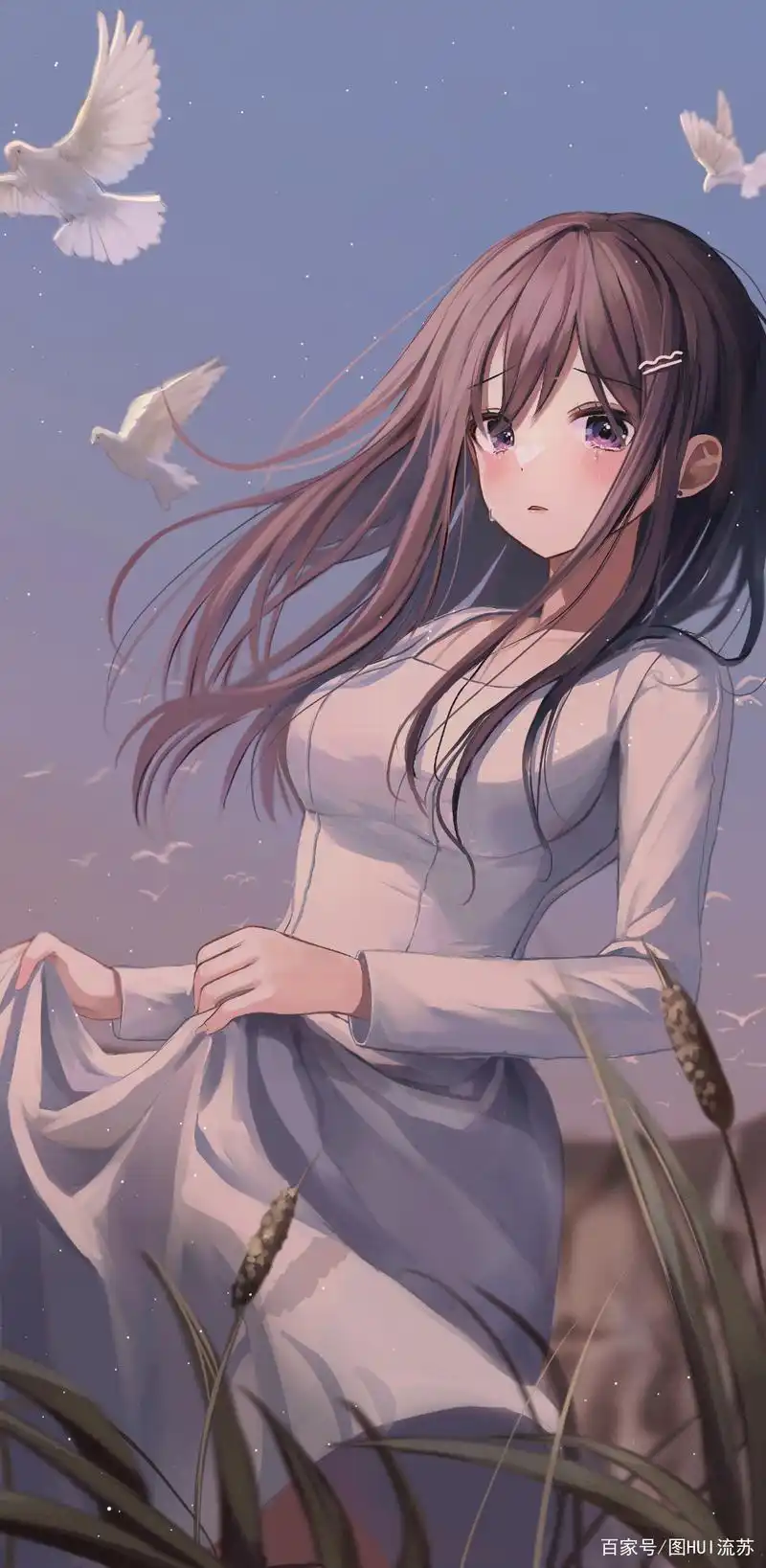 今日女生壁纸 二次元里的女孩儿