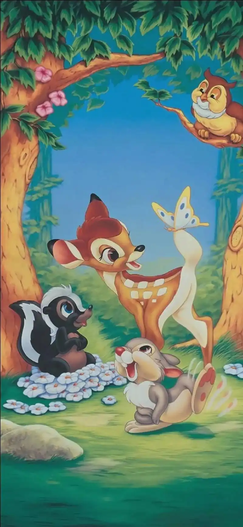 全面屏壁纸|抖音热门壁纸高清原图