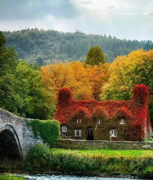 秋天是一个富有诗意的季节,许多著名的诗人都曾创作过描绘秋天景色