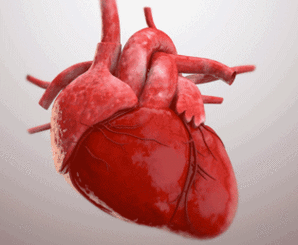 心脏好不好看这4个地方满足得越多说明心脏越健康