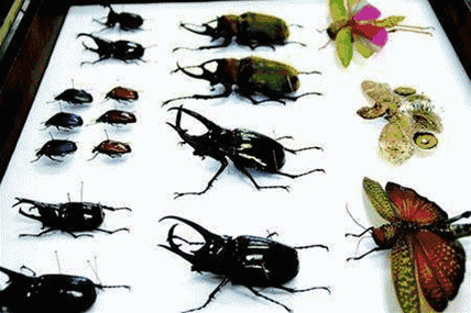 450_300gif 动态图 动图