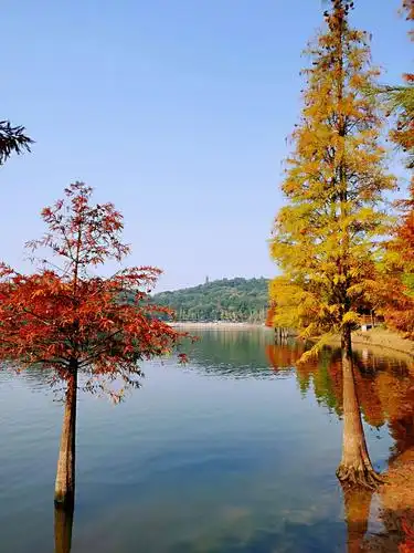 实拍,德阳东湖公园风景