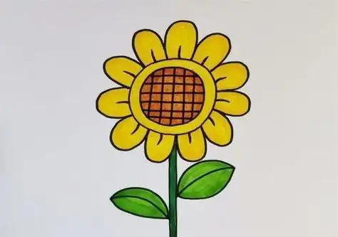 简单漂亮向日葵简笔画画法步骤  简单又好看向日葵简笔画怎么画
